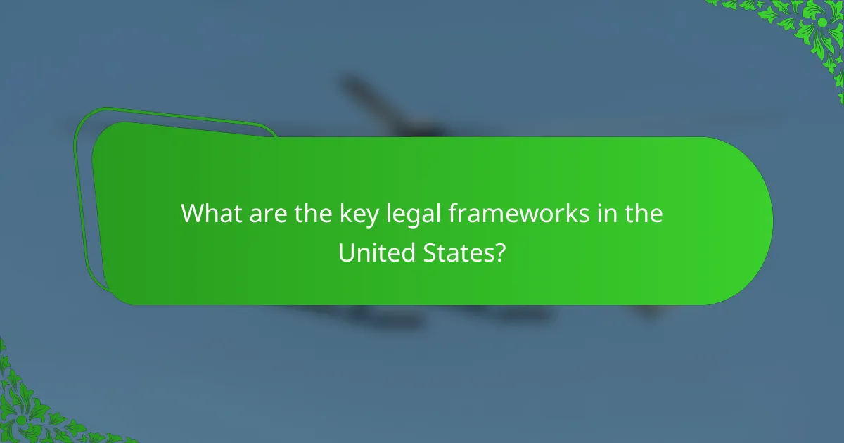 What are the key legal frameworks in the United States?